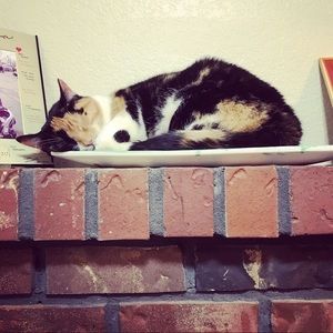 Meet your Posher, Catherine